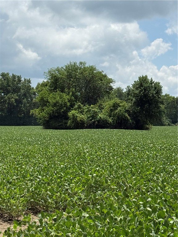 Picture 3