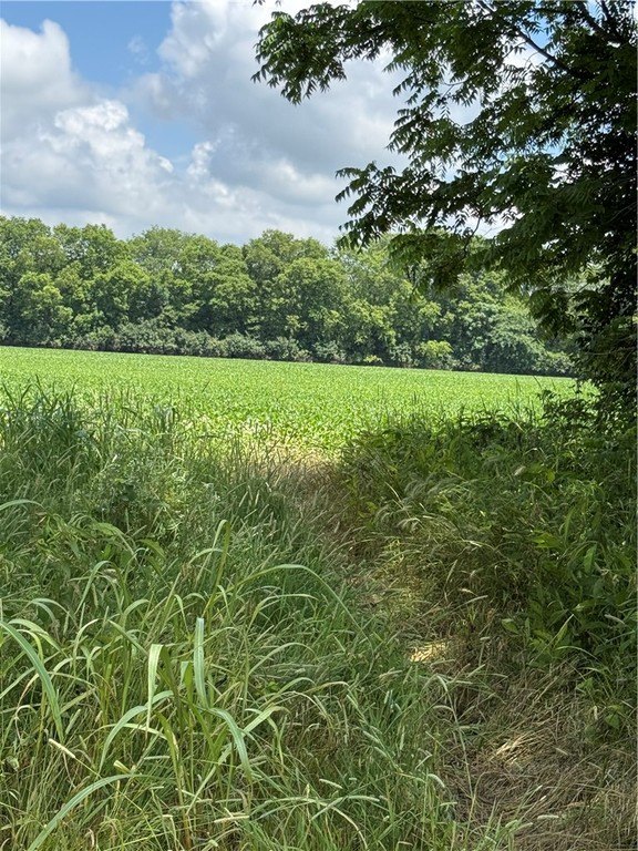 Picture 4