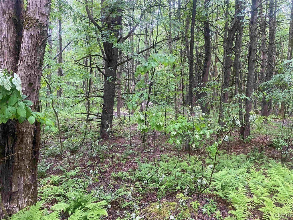 Picture 24