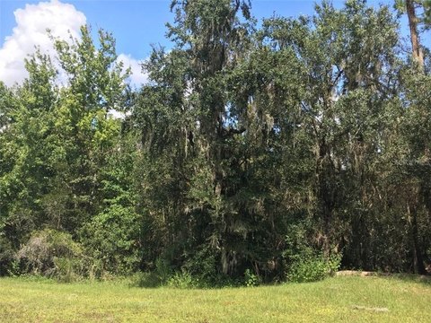 Land, MYAKKA CITY, FL