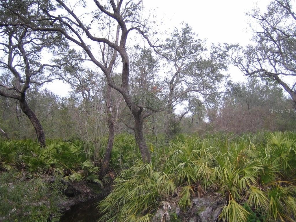 Picture 8