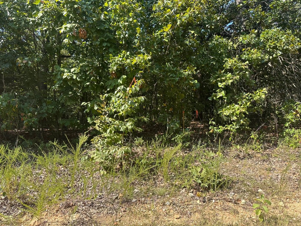 Picture 3