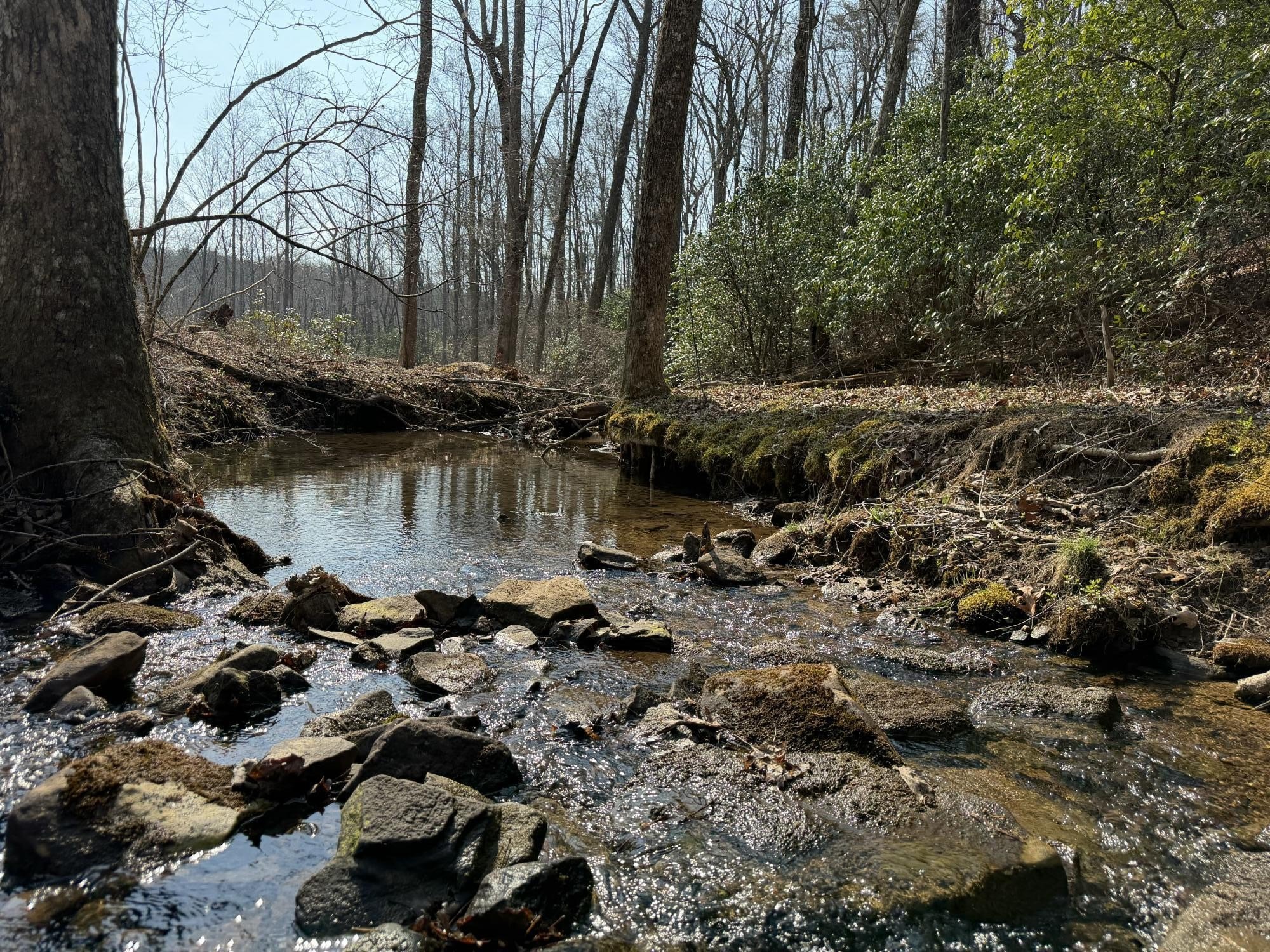 Land For Sale in Dunlap