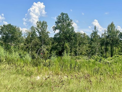 Land, STRINGER, MS
