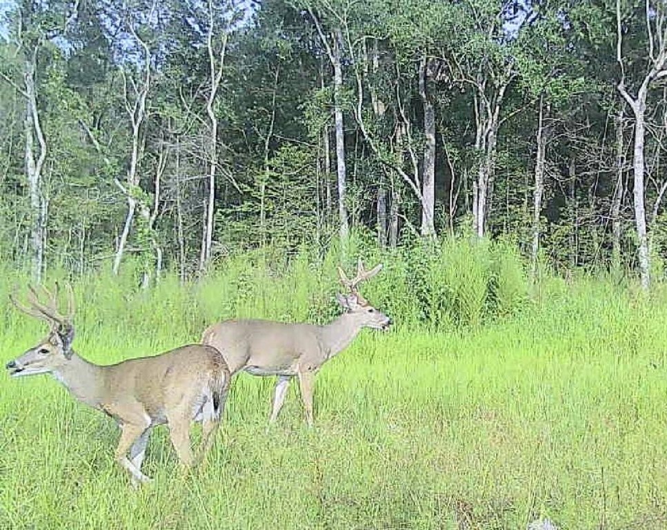 Picture 26