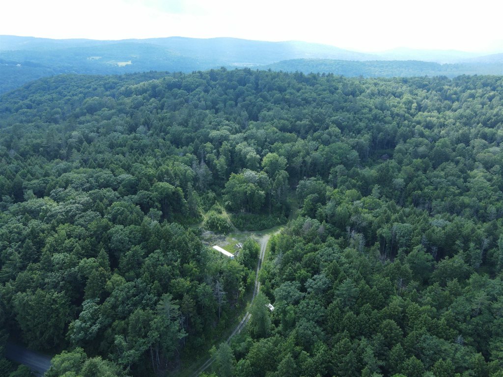 Picture 3