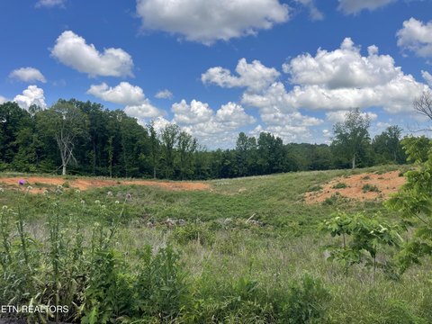 Land in Strawberry Plains, TN