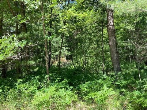 LAND - Luther, MI