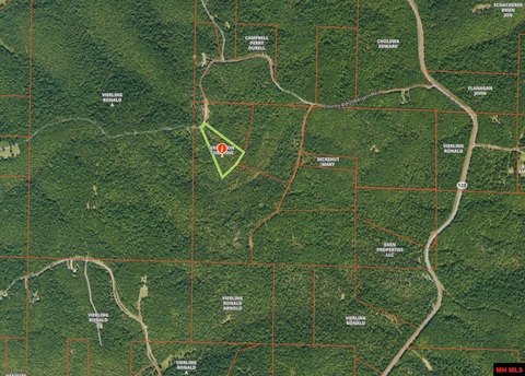 Wooded Land in Peel, AR