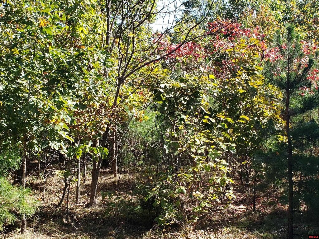 Picture 8
