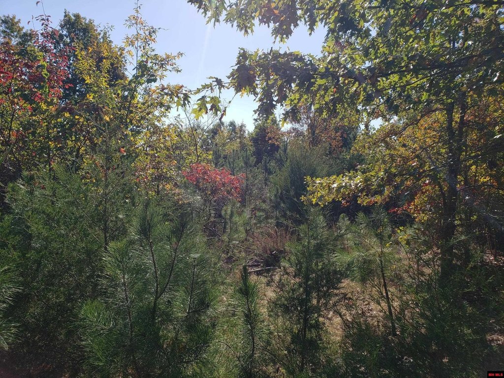 Picture 5