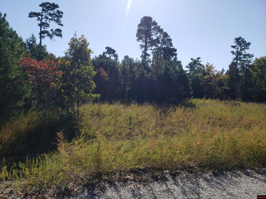 Picture 2