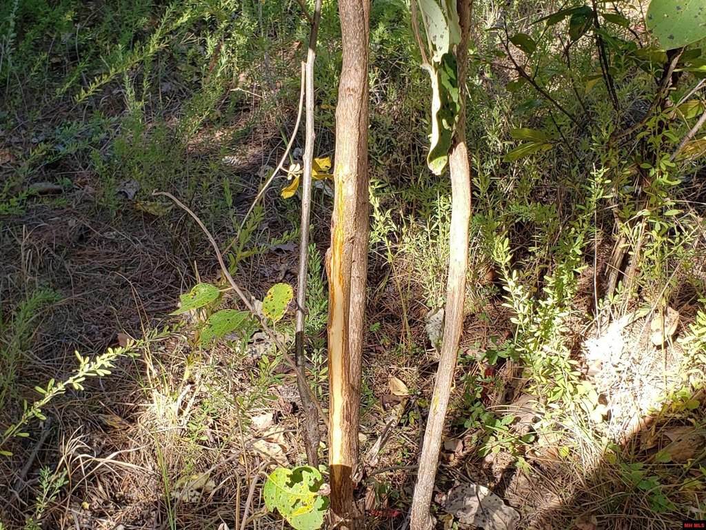 Picture 17