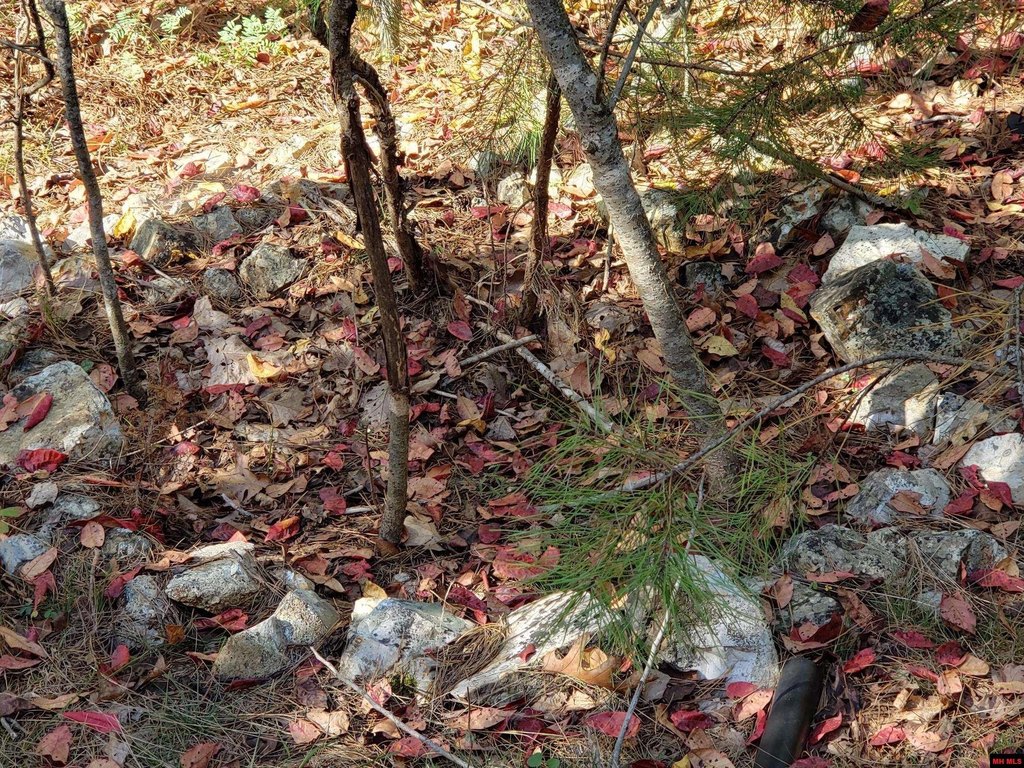 Picture 15
