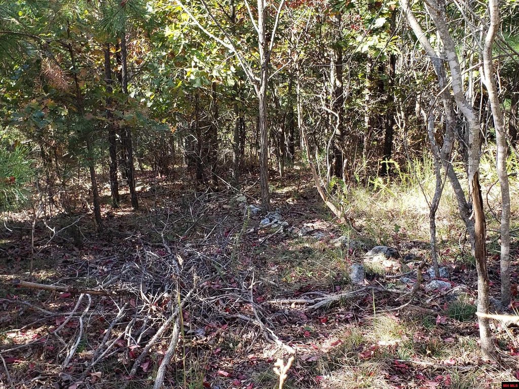 Picture 13