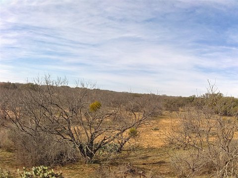Recreational Land with County Road Access