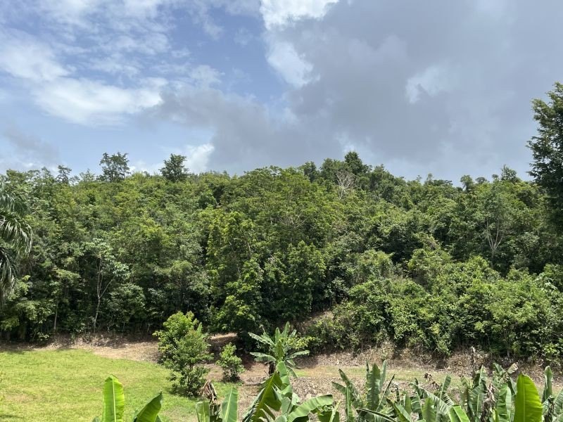 Land for Recreational Development