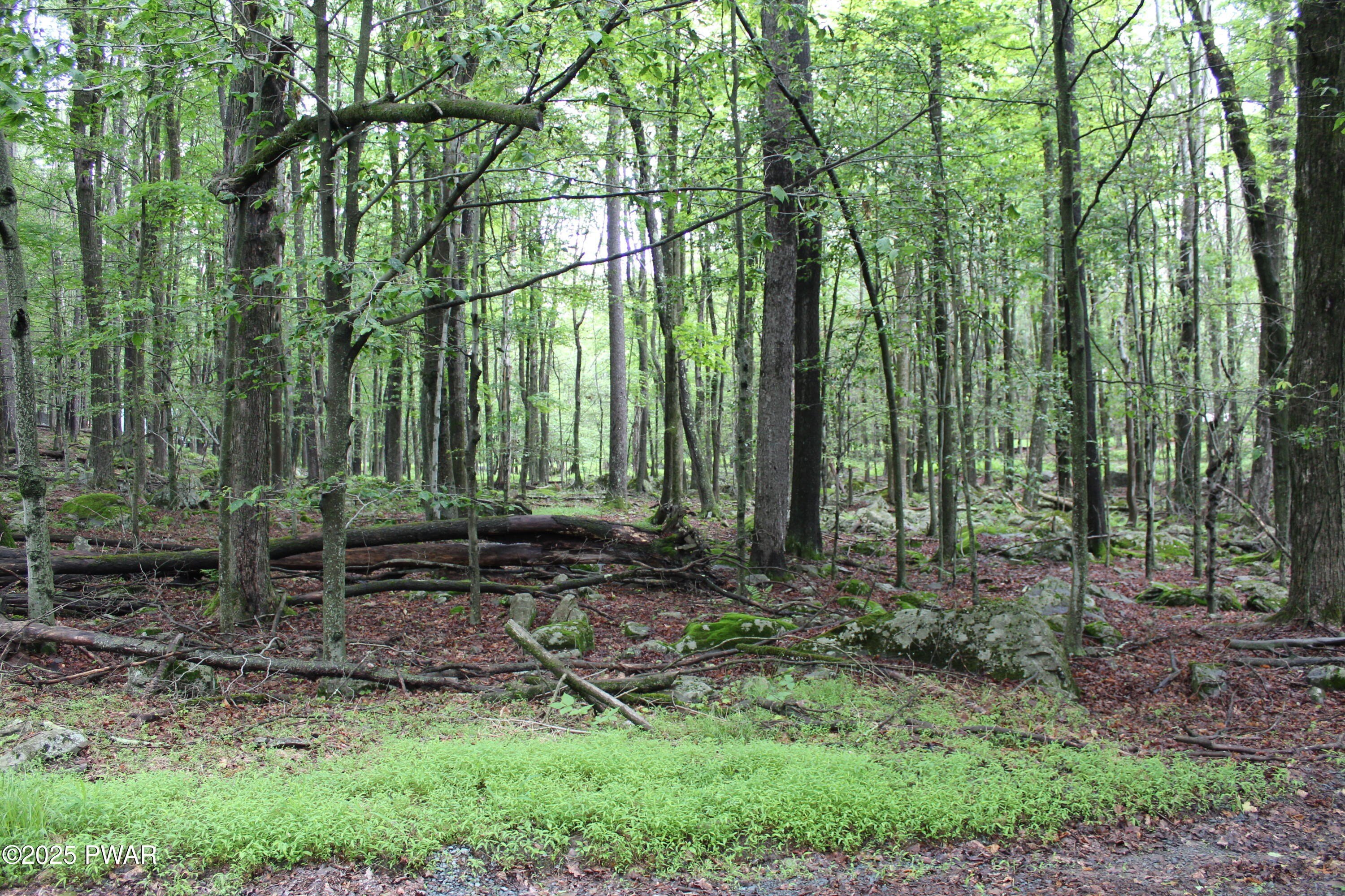 LAND - Greentown, PA