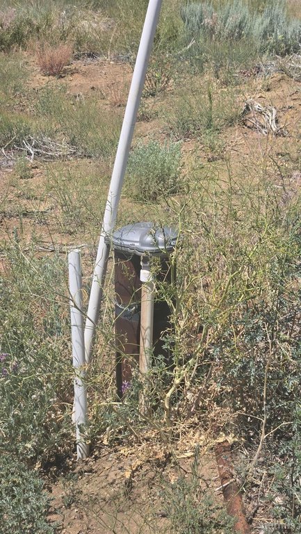 Picture 12