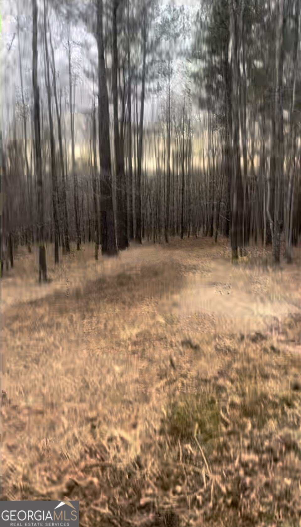 Land For Sale in Sparta