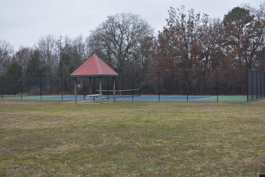 Picture 7