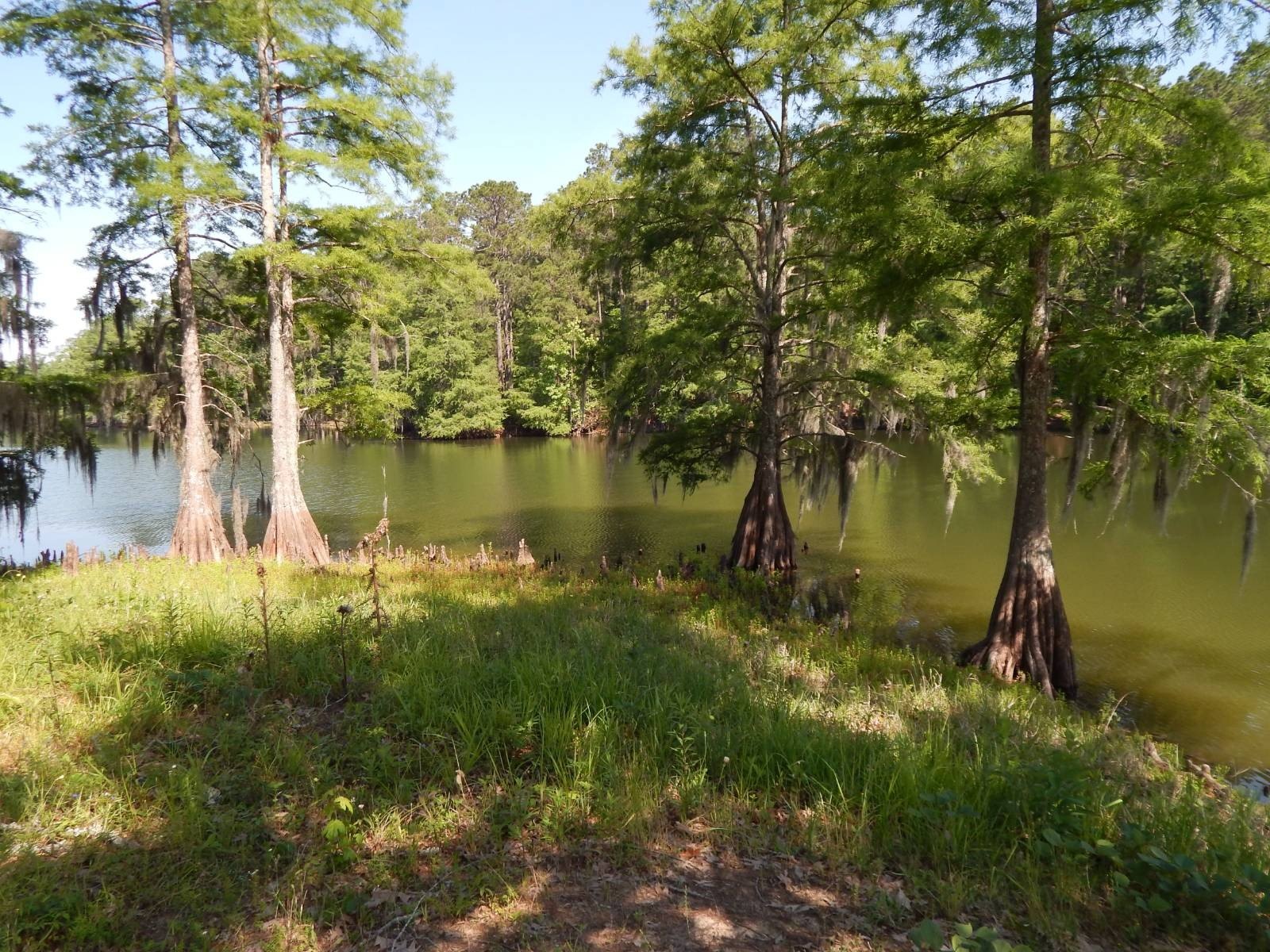 Toledo Bend Lake Dream Lot