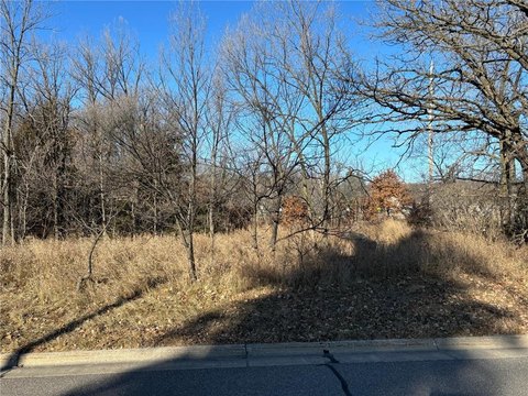 Sartell Buildable Lot Near Park