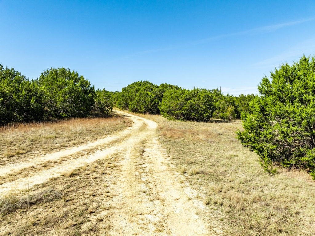 Picture 20