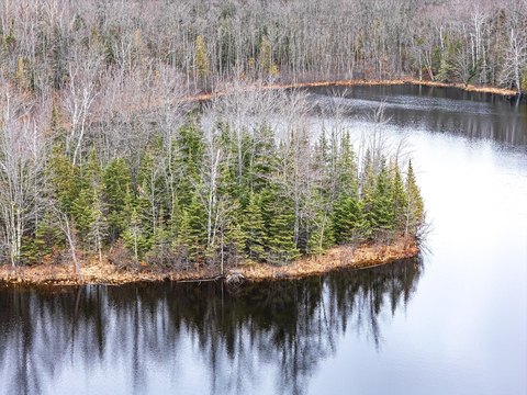 Oxbow Lake Wooded Parcel