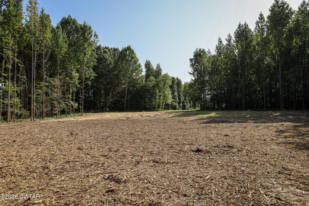 Picture 18