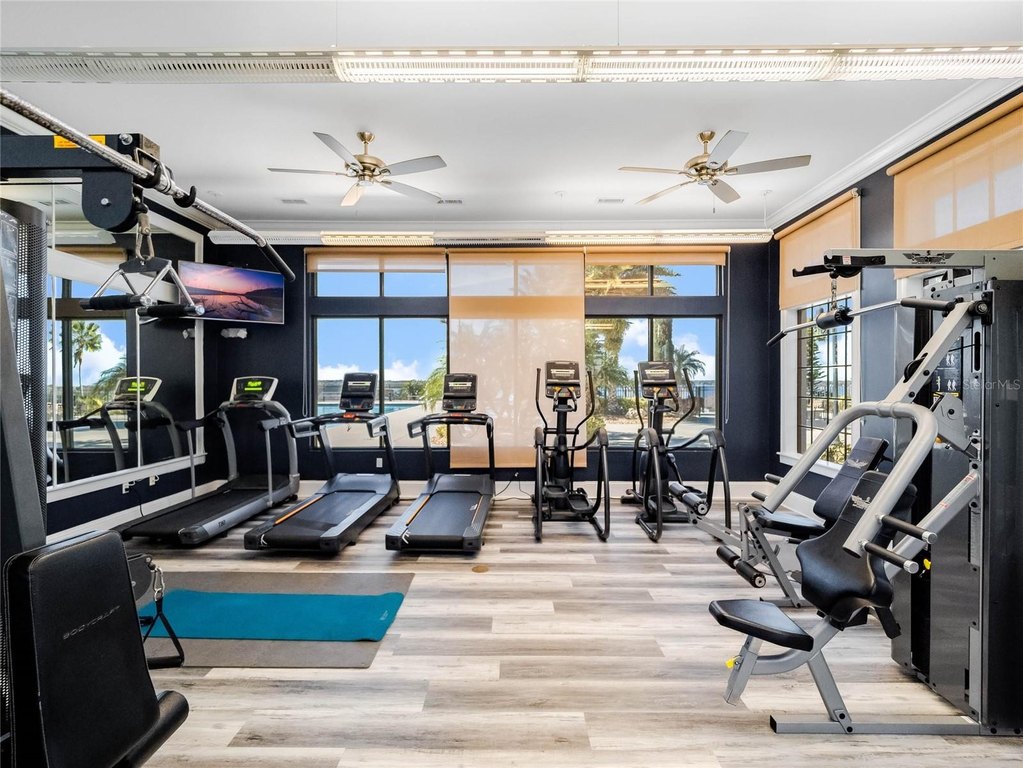 Picture 26