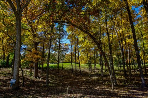 LAND - Lake Geneva, WI