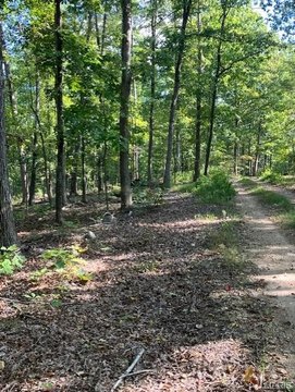 Secluded Wooded Land Near National Forest