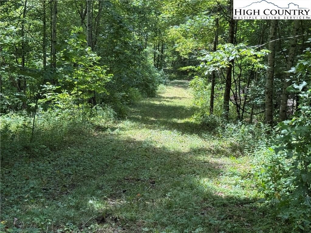 Picture 13