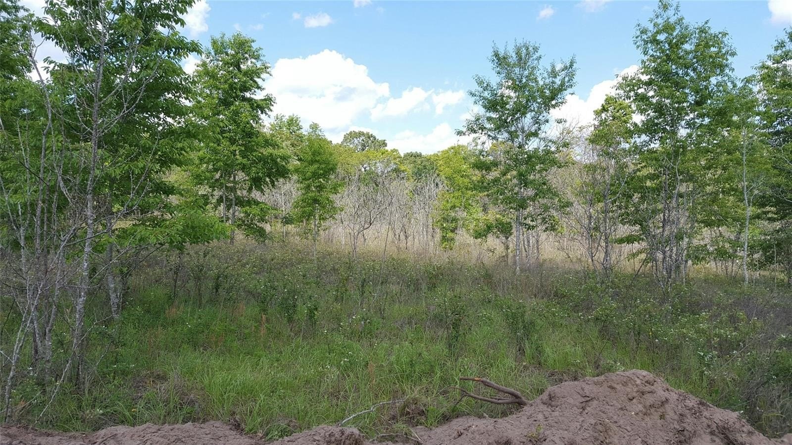 Residential Land in Lake City, FL
