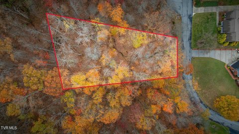 Wooded Lot in Kingsport, TN