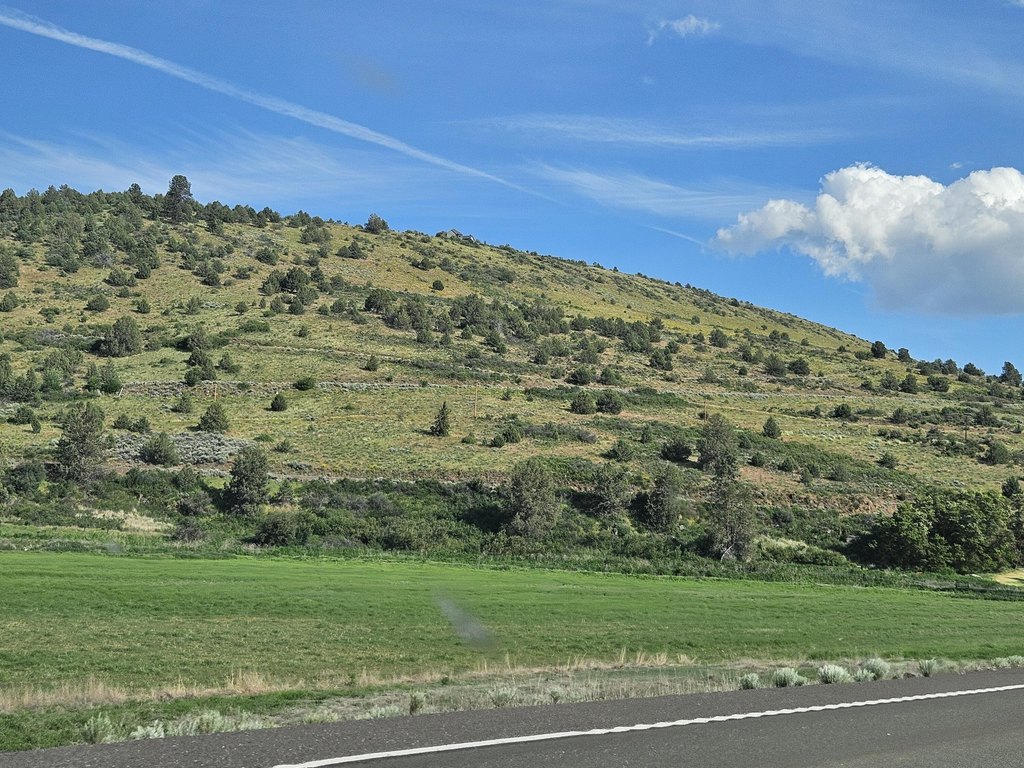 Picture 7