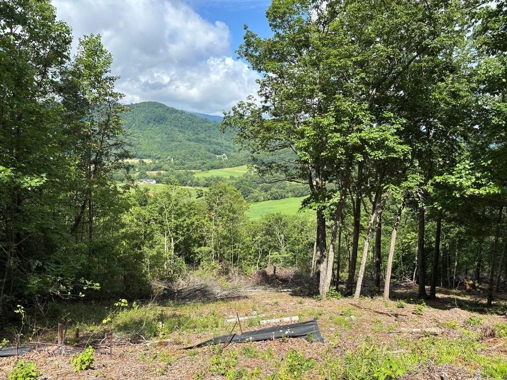 Hiawassee Vacant Lot with Views