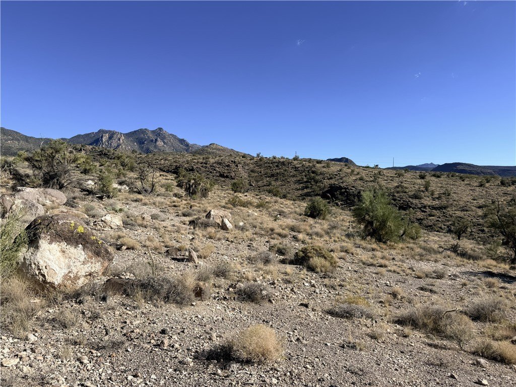 Picture 18