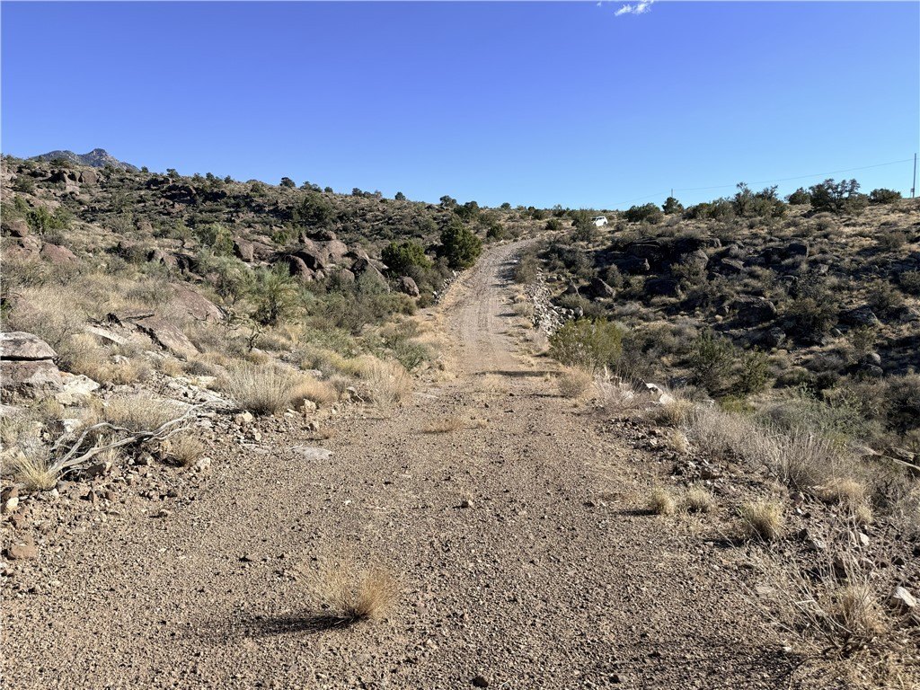 Picture 5