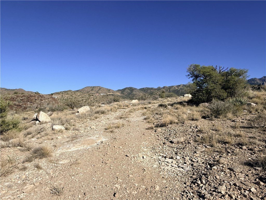 Picture 6
