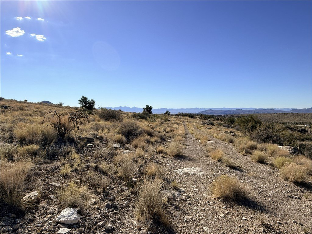 Picture 17