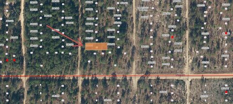 Residential Land in Lake Lucy