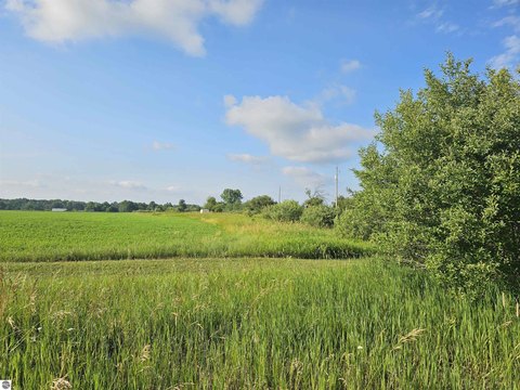 LAND - Whittemore, MI