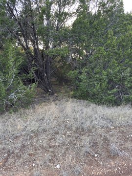 Resort Community Land Parcel