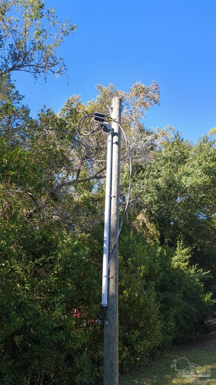 Picture 3