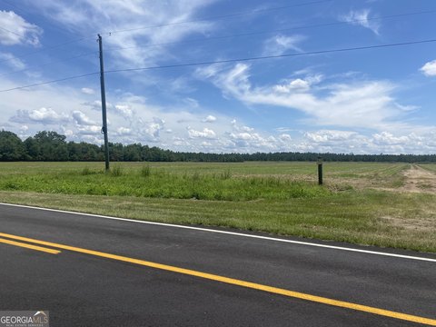 Farmland with Pond Near Jesup