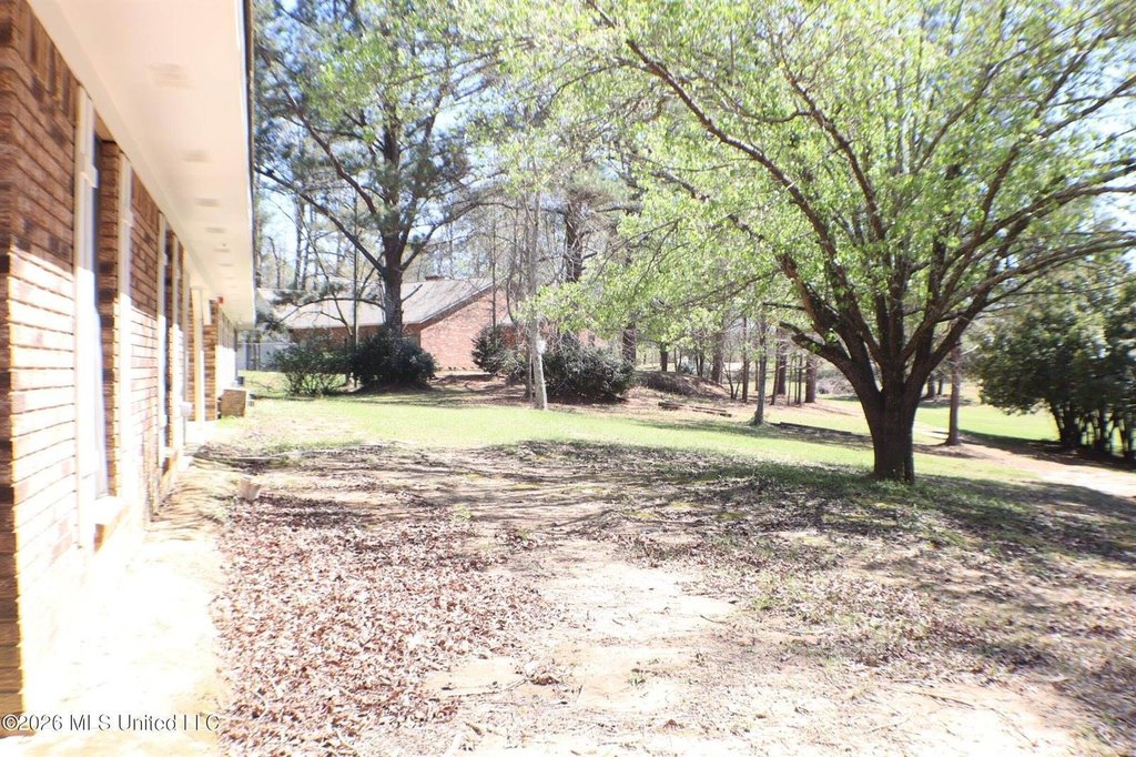 Picture 41
