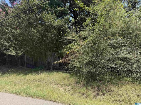 LAND/LOTS, BIRMINGHAM, AL
