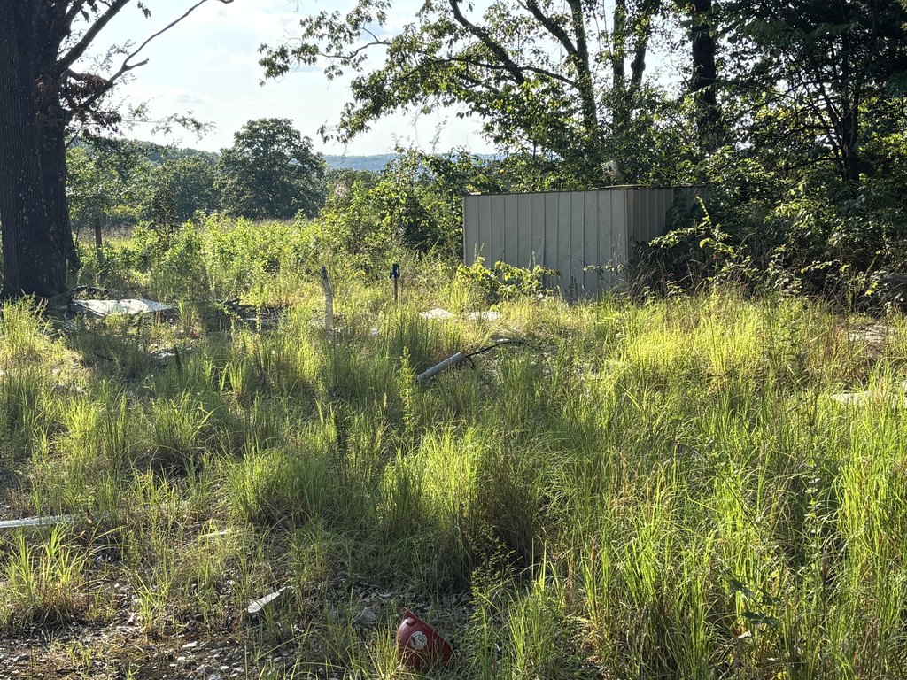 Picture 6